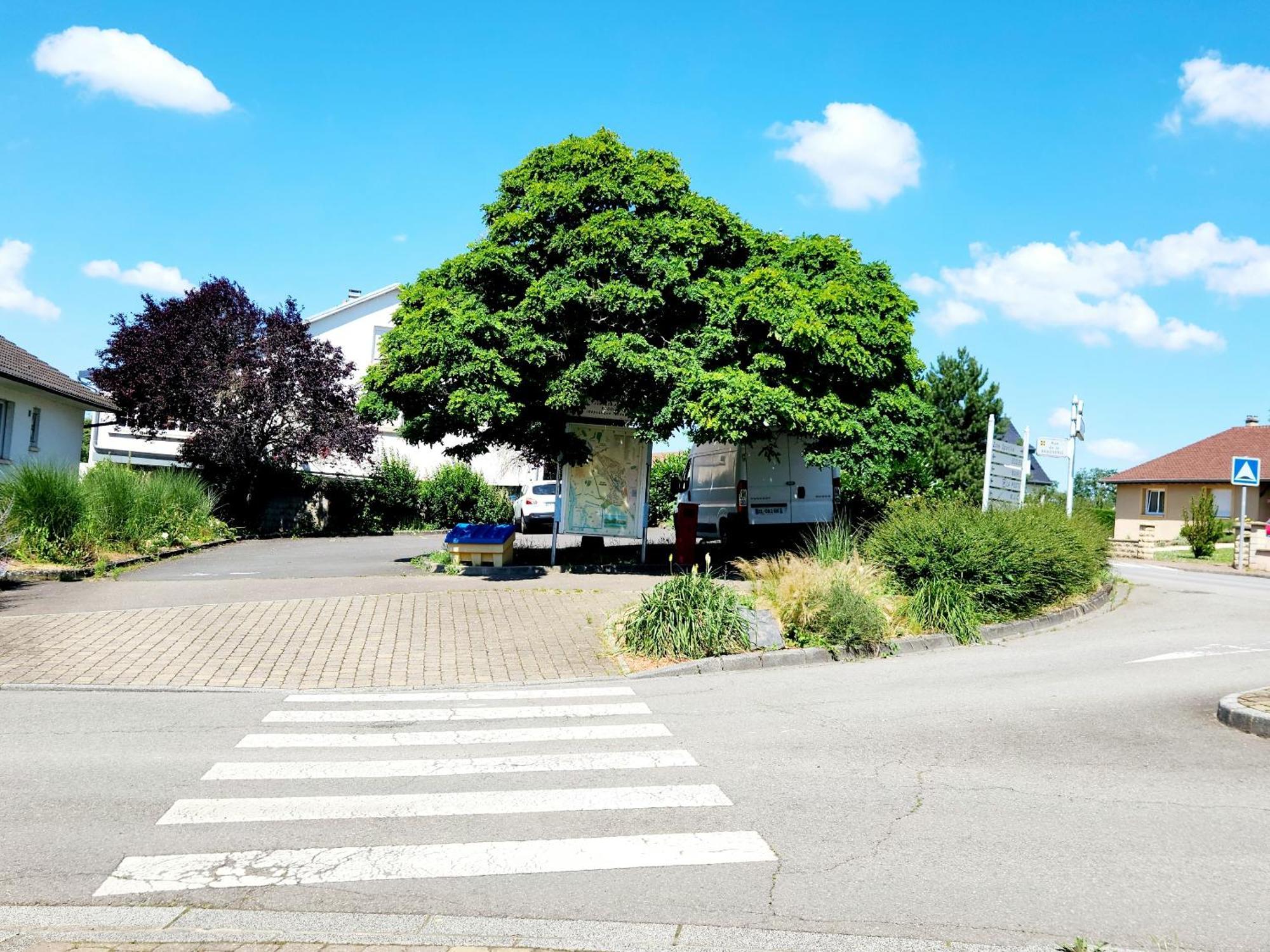 Appartamento Le Jardin D'Eden Ay-sur-Moselle Esterno foto